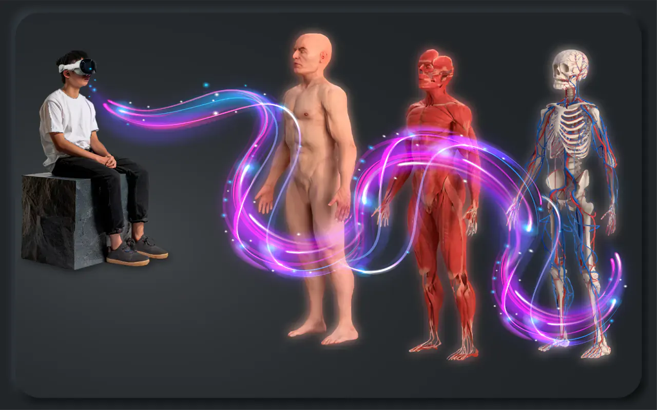 Immersive anatomy layers visualized from external to internal structures